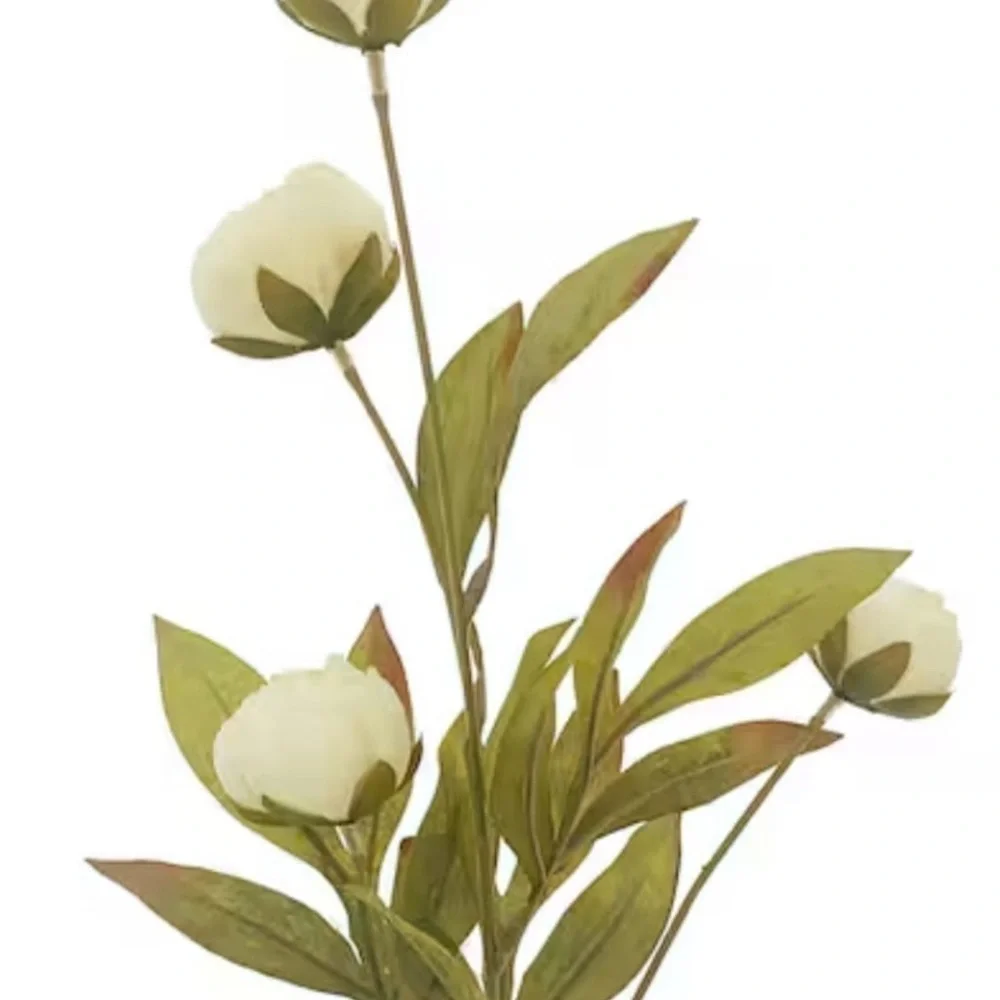 Cream Peony Stem by Ashland Set of 3- Michael’s Viral Floral Stem